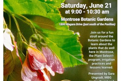 Plants: New - Old - Hot - Cool!